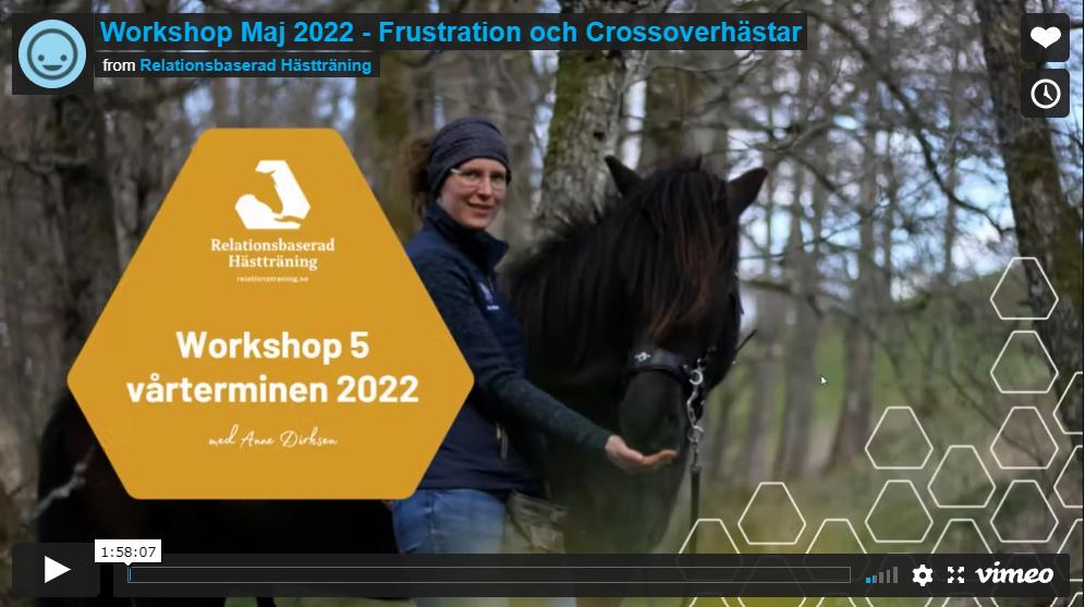 Workshop Maj 2022 – Frustration & Crossoverhästar