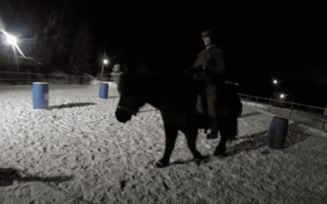 Ridning fortsättning