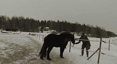 Insikter om R+ och R- efter Ridesum med Anne