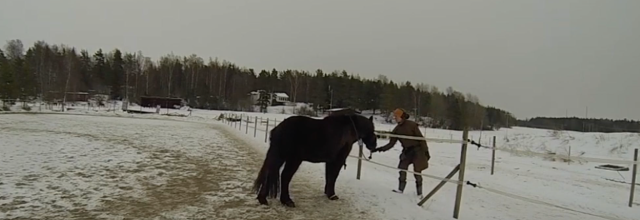 Insikter om R+ och R- efter Ridesum med Anne